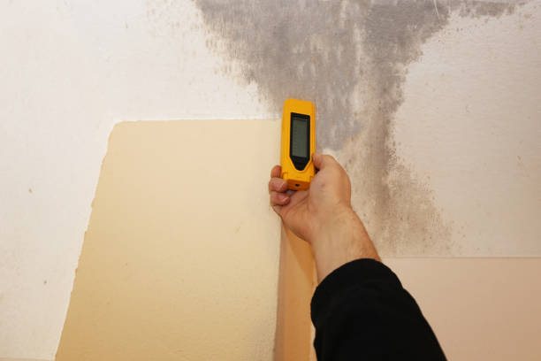 Best Mold Remediation for Healthcare Facilities  in Nassau Village Ratliff, FL