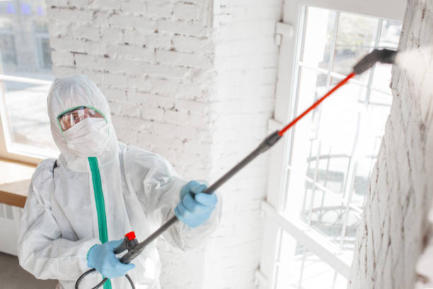 Nassau Village Ratliff, FL Mold Removal Company