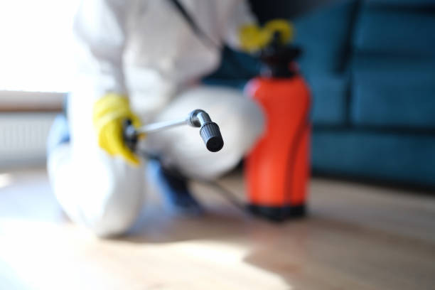 Best Biohazard Mold Removal  in Nassau Village Ratliff, FL
